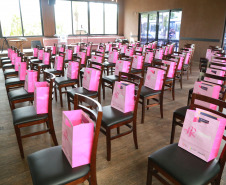 Fotos Paraná Rosa 2021