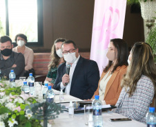 Fotos Paraná Rosa 2021