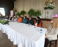 Fotos Paraná Rosa 2021