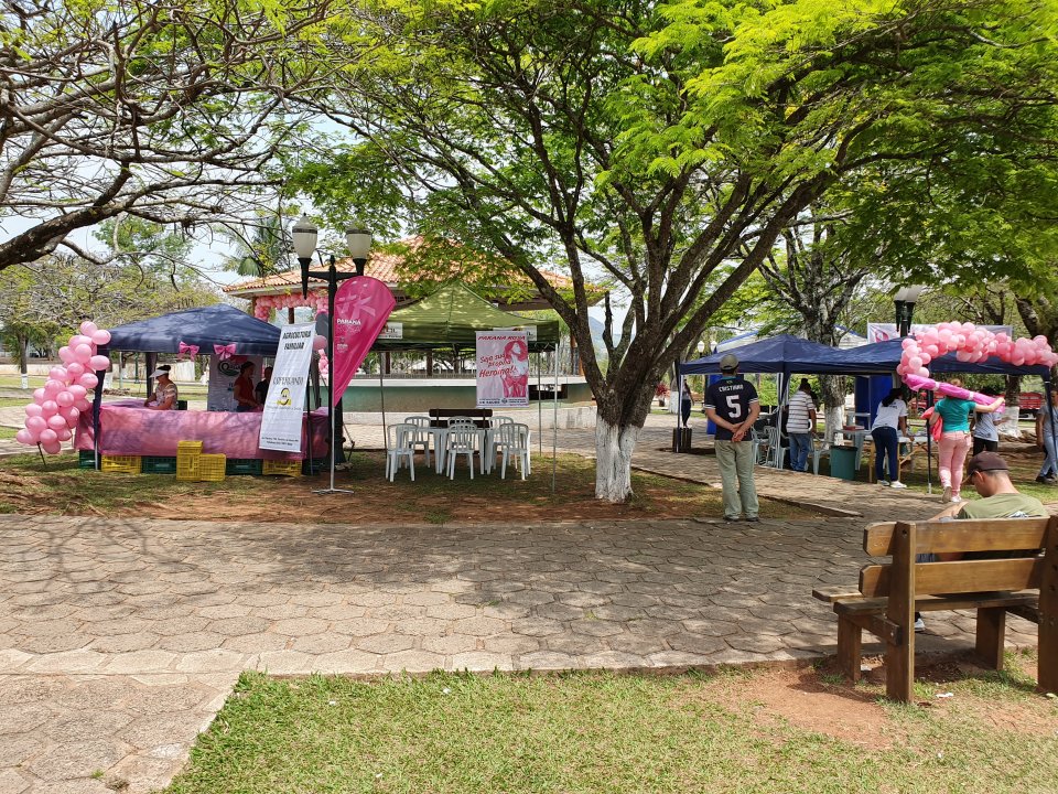 Paraná Rosa 2019 - Cândido de Abreu