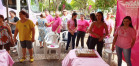 Paraná Rosa 2019 - Alto Paraíso