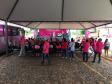 Paraná Rosa 2019 - Laranjal