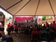 Paraná Rosa 2019 - Laranjal