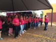 Paraná Rosa 2019 - Laranjal