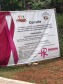 Paraná Rosa 2019 - Laranjal