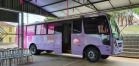 Paraná Rosa 2019 - Siqueira Campos