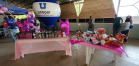 Paraná Rosa 2019 - Siqueira Campos