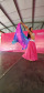 Paraná Rosa 2019 - Siqueira Campos