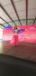 Paraná Rosa 2019 - Siqueira Campos