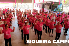 Paraná Rosa 2019 - Siqueira Campos